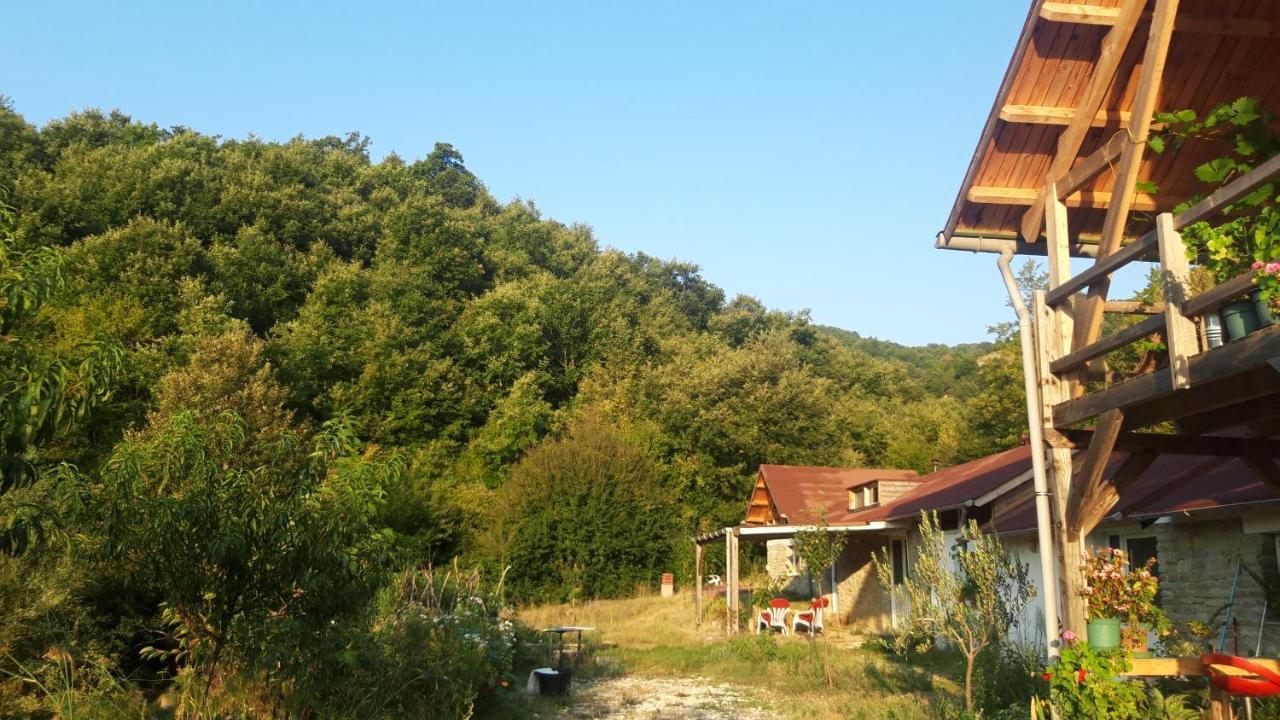 Ferma Grand Albanik Hotel Kelcyre Bagian luar foto